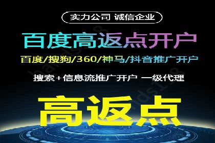 电商平台信息流广告的创意与优化：成功案例分析